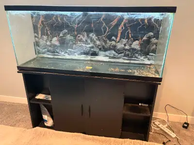Aquarium 55gal Full Setup, View more