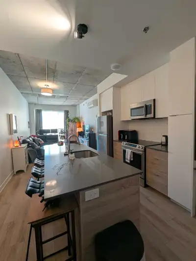 Magnifique appartement à louer au centre-ville de Montréal