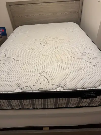 Mattress –Whole Home Euro top – 9 inch – double size, View more