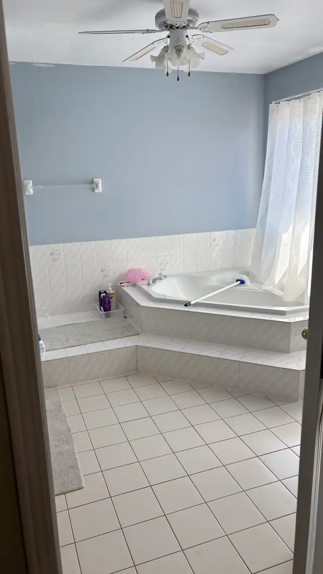 Handy Painter518514903656714243