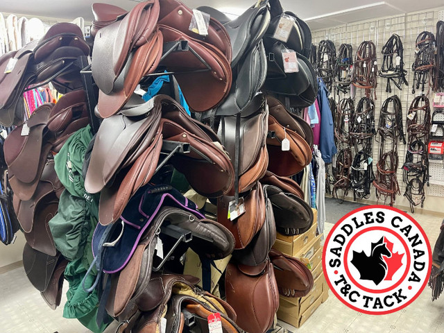 New and used English and Western Saddles in Equestrian & Livestock Accessories in Delta/Surrey/Langley