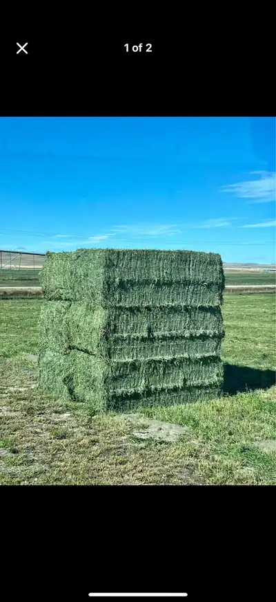 HAY- 3 sizes, 7 mixes .Free delivery only in the west kootaney., View more