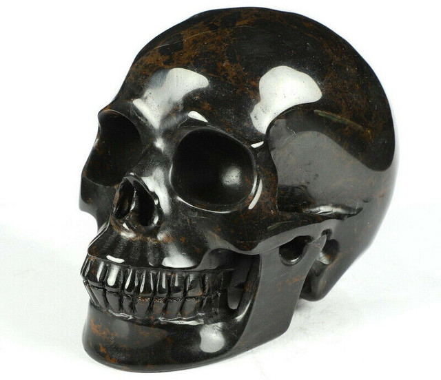HUGE 5" Mahogany Obsidian Crystal Skull! Hand carved, realistic. in Arts & Collectibles in Mississauga / Peel Region - Image 3