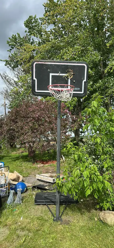 basket ball hoop, View more