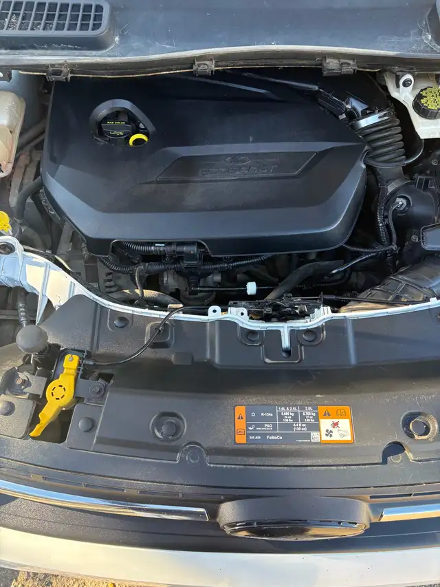 2015 ford escape 604579925308231688
