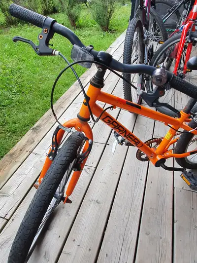 Vélo 20 pouces Garneau rapido 203, (the new one price: 320$)