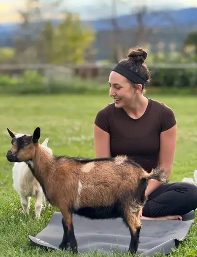 GOGA in the Magical Meadow: Goat Yoga with a Playful Twist ✨, View more
