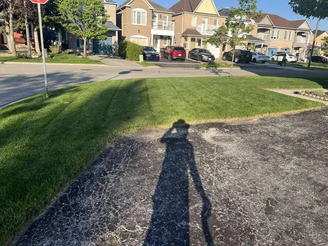 Grass cutting/ lawn mowing service63235119944833122
