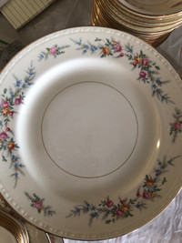 Homer Laughlin China dinnerware set
