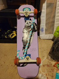 Thunder Colden Skateboard, only used twice