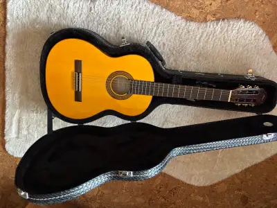 Acoustic Guitar, View more