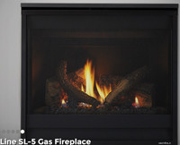 Direct Vent Gas Fireplace with Clean Face
