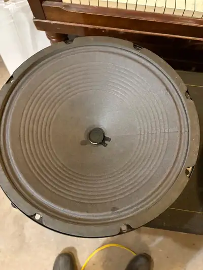 marsland and arnscott Canadian made 12” speakers, View more