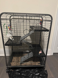 Brand new built cage for small animals