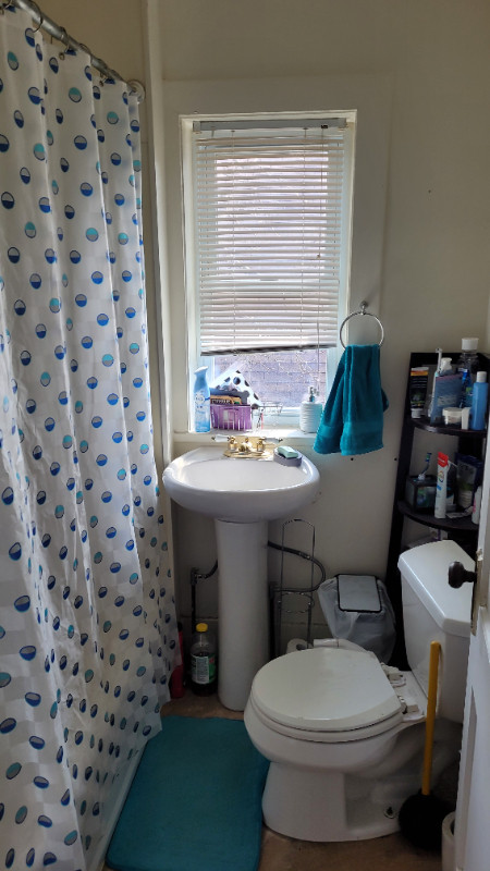 1 Room Summer Sublet in Downtown Apartment in Long Term Rentals in Peterborough - Image 2