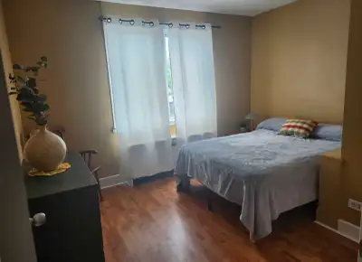 Room for rent available on 1st October 2026. Centrally located in the Wellington Street West , Sault...