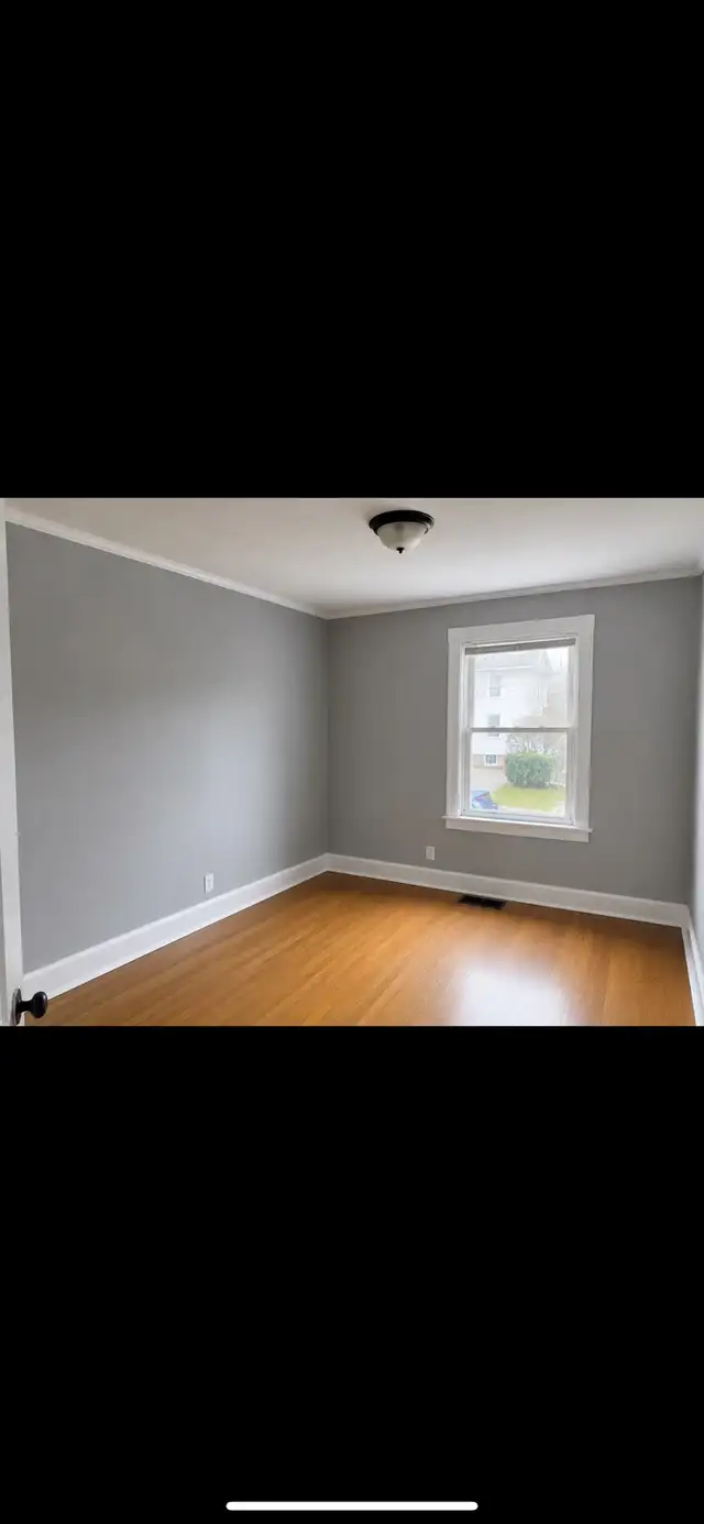 Painter /painting service529384736357109761