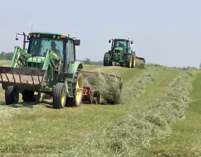 HAY for sale, View more