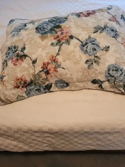 2 Standard pillow shams, View more