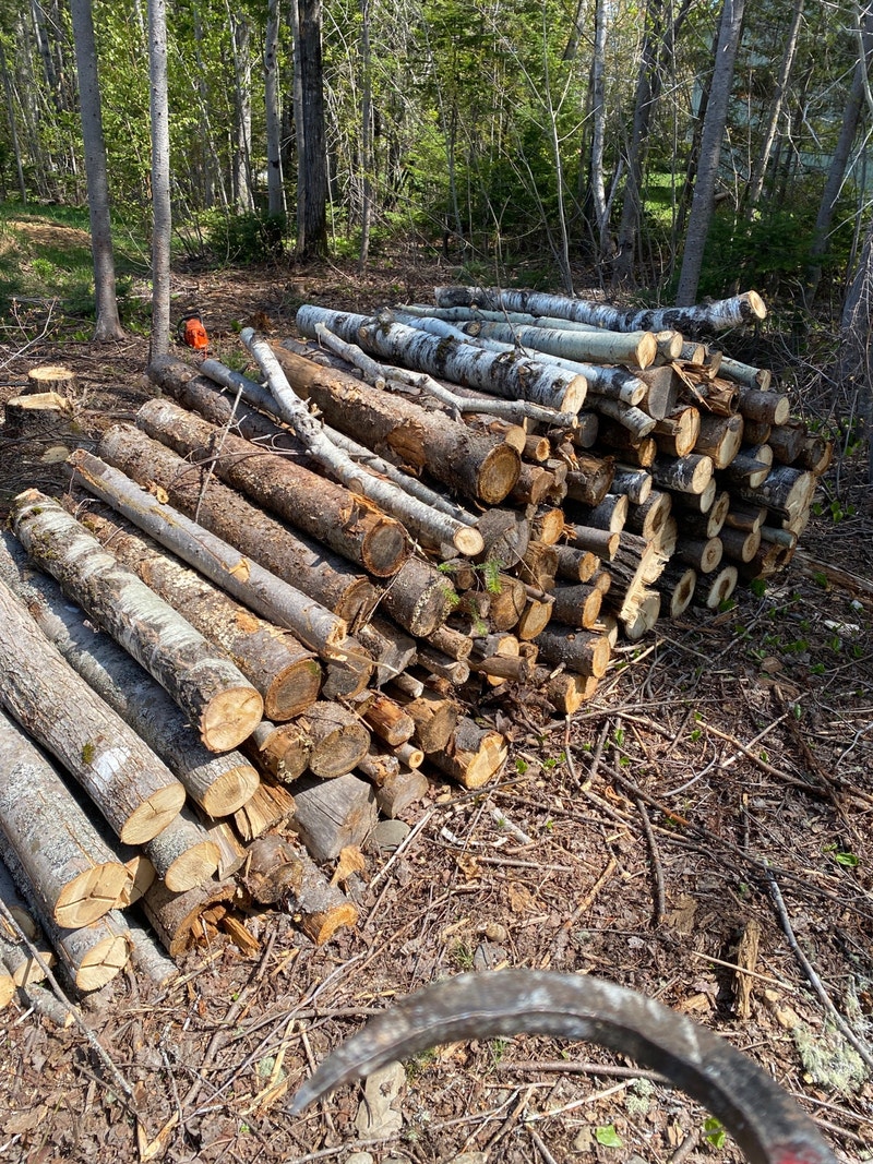 Free fire wood Free Stuff Bathurst Kijiji