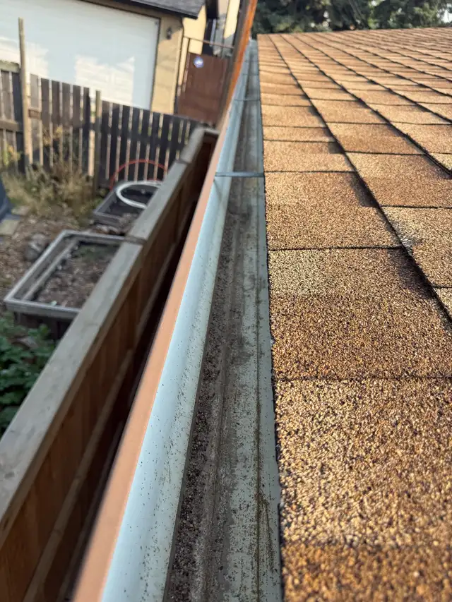 Gutter Cleaning