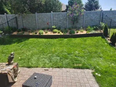 landscaping & general laborer, View more