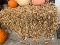 2 bales of hay