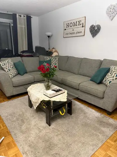 moving sell everything most go !!!, View more