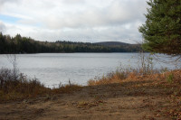 terrain boisé à vendre dans les Laurentides face à un lac