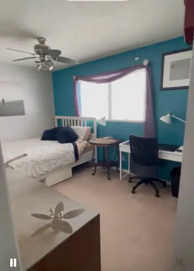 SAIT/U of C/Working Professional - MALE roommate wanted