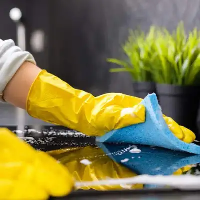 Experienced European cleaning lady offering cleaning service. For more information and price please...