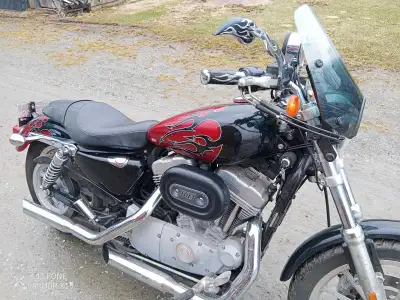 Moto Harley Davidson 883 année 2007 avec peut de millage 12000 km plus d'info mp ou 450 204 9521 neg...