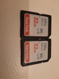 32gig SD Cards