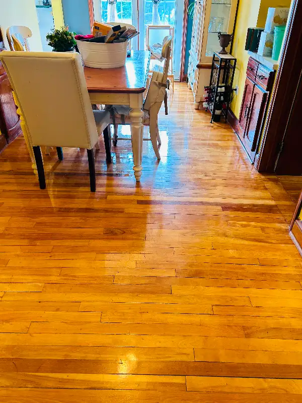 House cleaning63006659512067124