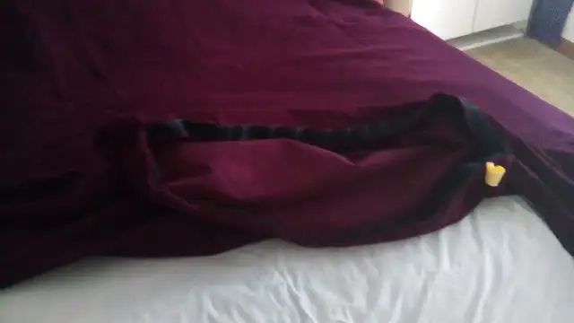 Duvet cover in Bedding in Guelph - Image 4