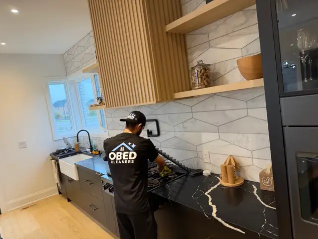 PROFESIONAL CLEANING 