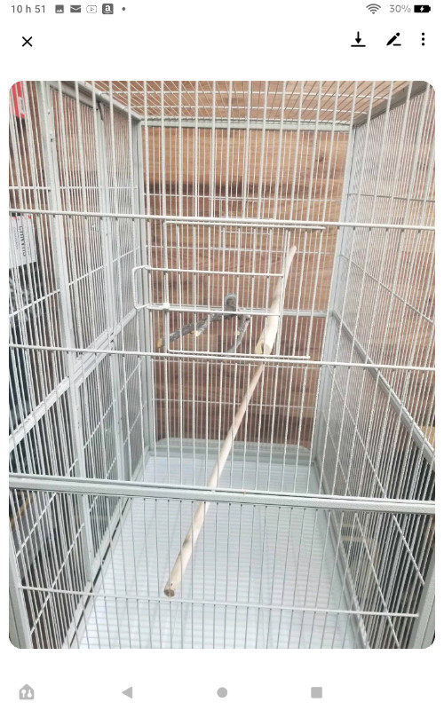 Cage d oiseau dans Oiseaux à adopter  à Shawinigan - Image 3