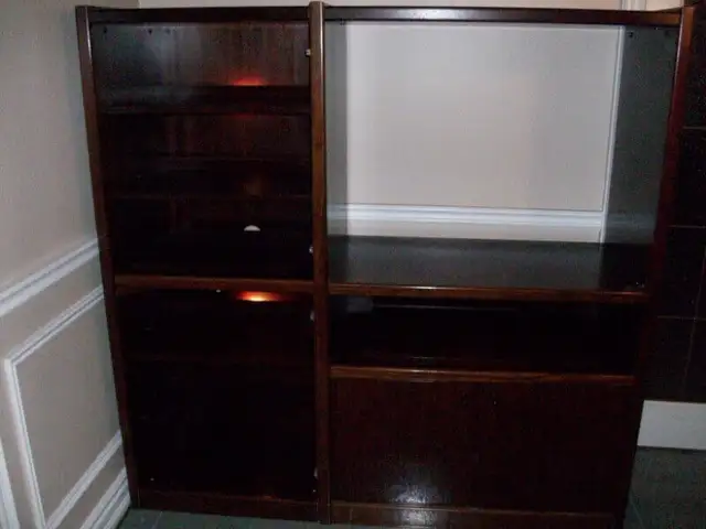 Beautiful Rosewood Wall/Entertainment Unit in TV Tables & Entertainment Units in Markham / York Region - Image 2