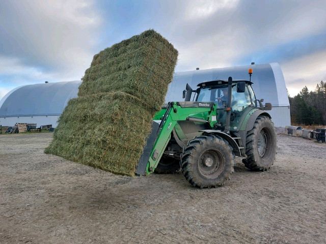Hay and Straw Sales in Livestock in North Bay - Image 2