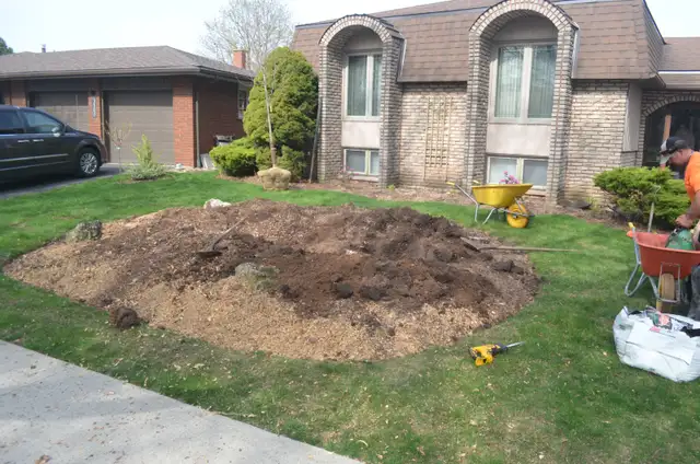 Tree Planting in Excavation, Demolition & Waterproofing in Oakville / Halton Region - Image 3