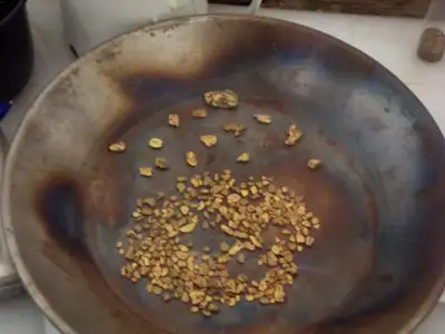 Interested in starting your own gold mine? Well here's your chance to own a Cariboo famous gold mine...