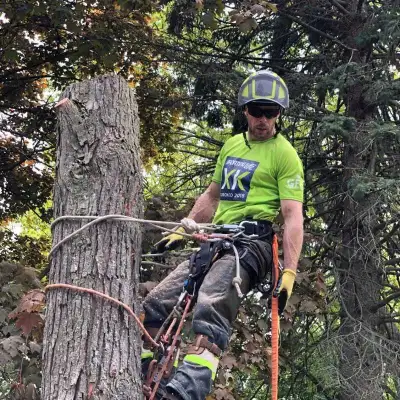 Tree Cutting 647 654-1884, View more