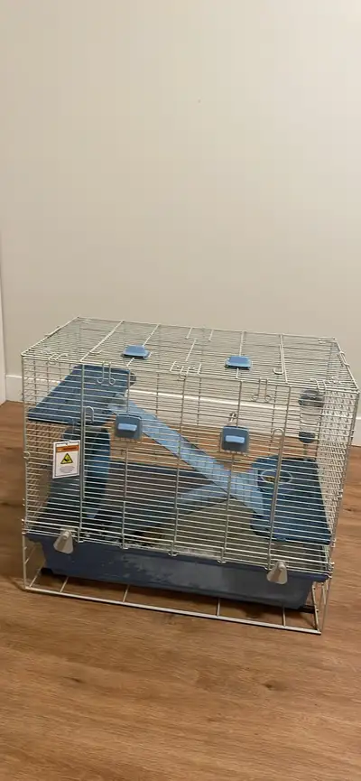 Russian dwarf hamster, View more