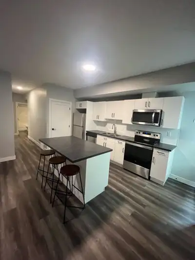 2 bed 1 bath basement suite in batchelor heights