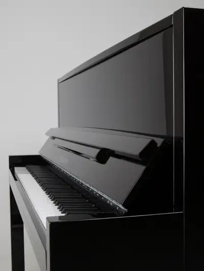 New Piano 'FEURICH' 115, View more