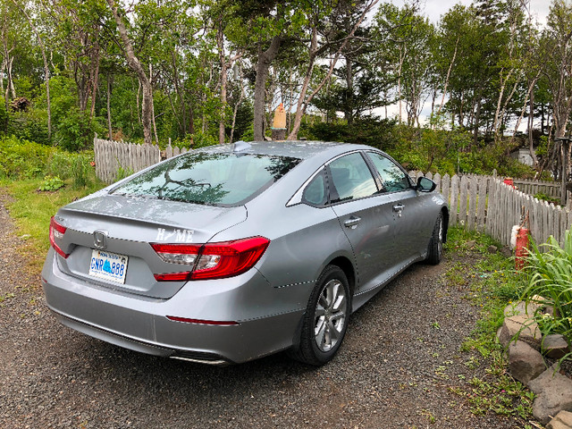 2019 Honda Accord in Cars & Trucks in Annapolis Valley - Image 3