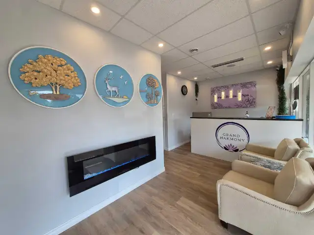 5 Star Reviews Massage Spa  in Massage Services in Mississauga / Peel Region - Image 2