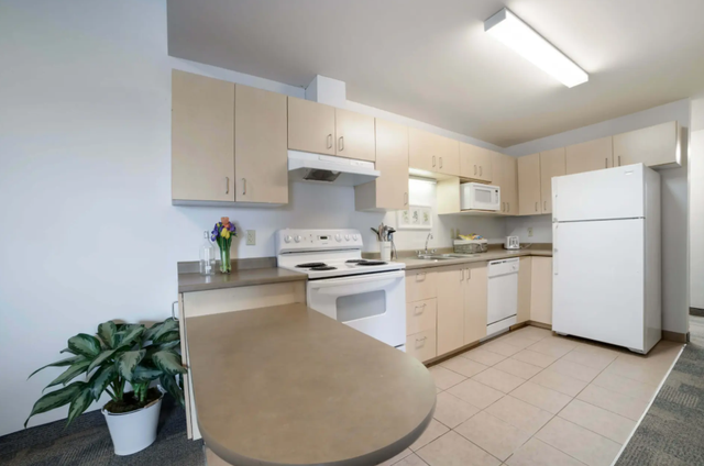 Room for Rent - Female Students only in Room Rentals & Roommates in Oshawa / Durham Region - Image 5