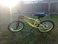 20 inch Cool Looking Children's Bicycle Ozark Trail 