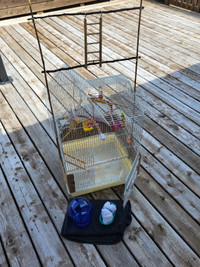Cage Pour Oiseaux * Birds Cage
